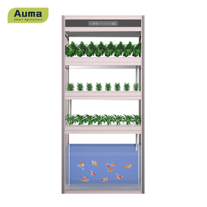 Модель Auma Aquaponic AM3 — хороший способ получить доступ к органическим и свежим овощам и рыбе.